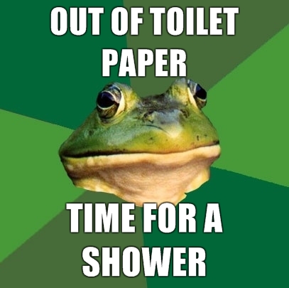 Meme Bachelor Frog